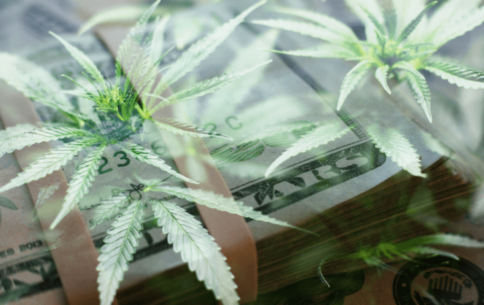 cannabis overlaid on dollar bills