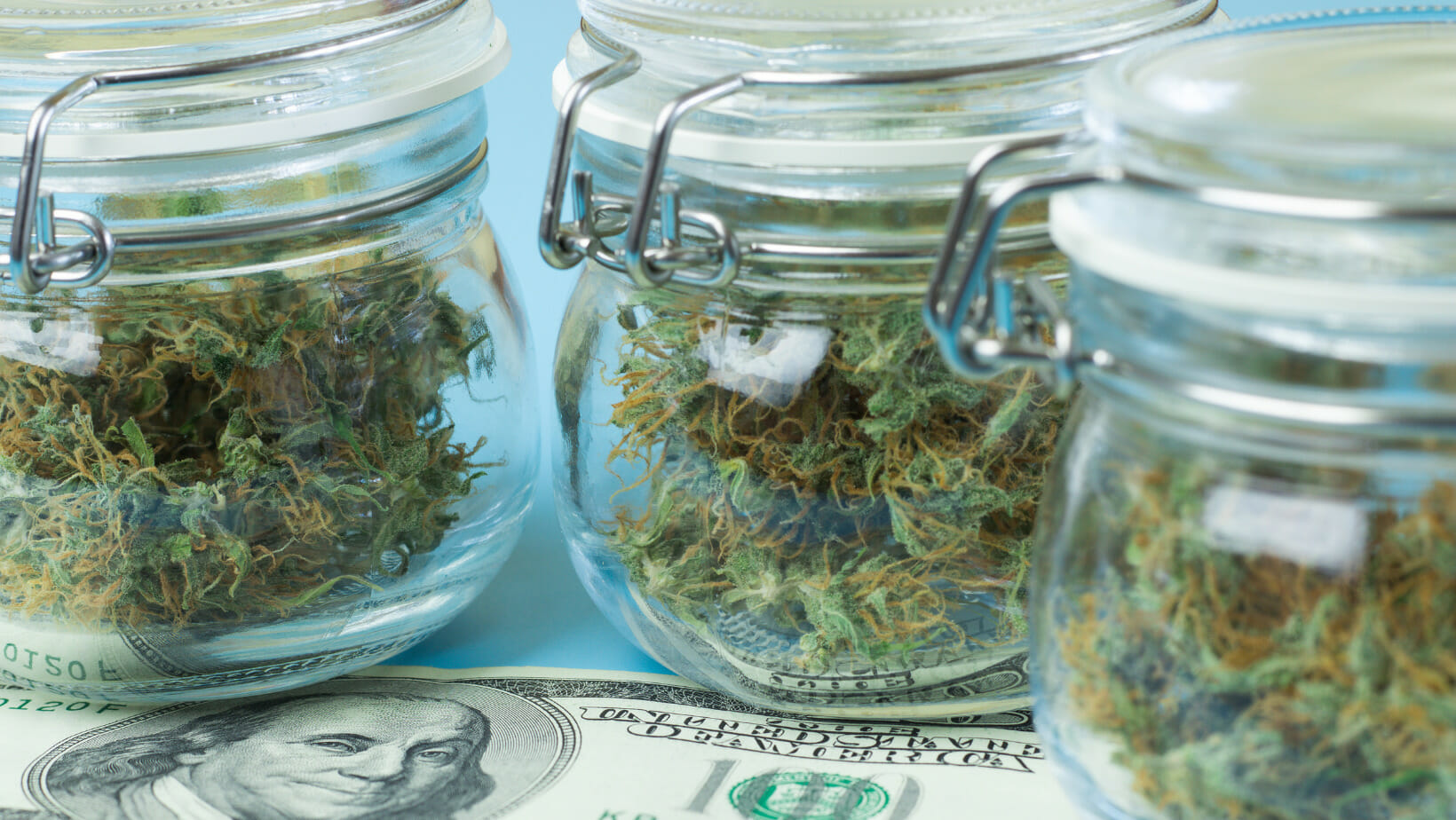 Glass jars of cannabis and a $100 bill